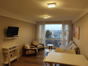 DEPARTAMENTO BELGRANO San Carlos De Bariloche